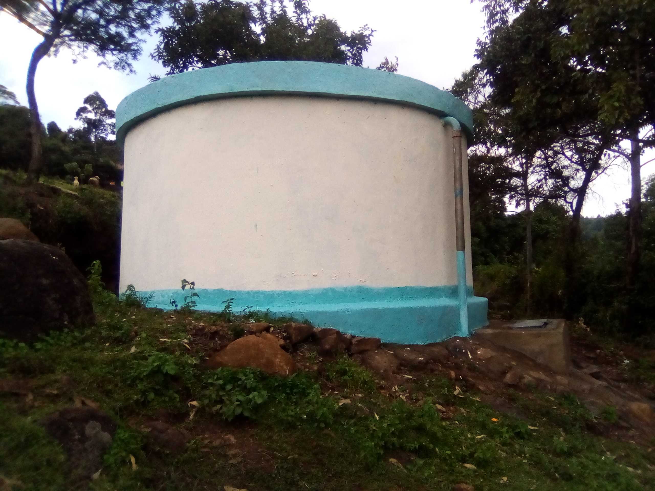 Clean water TANK